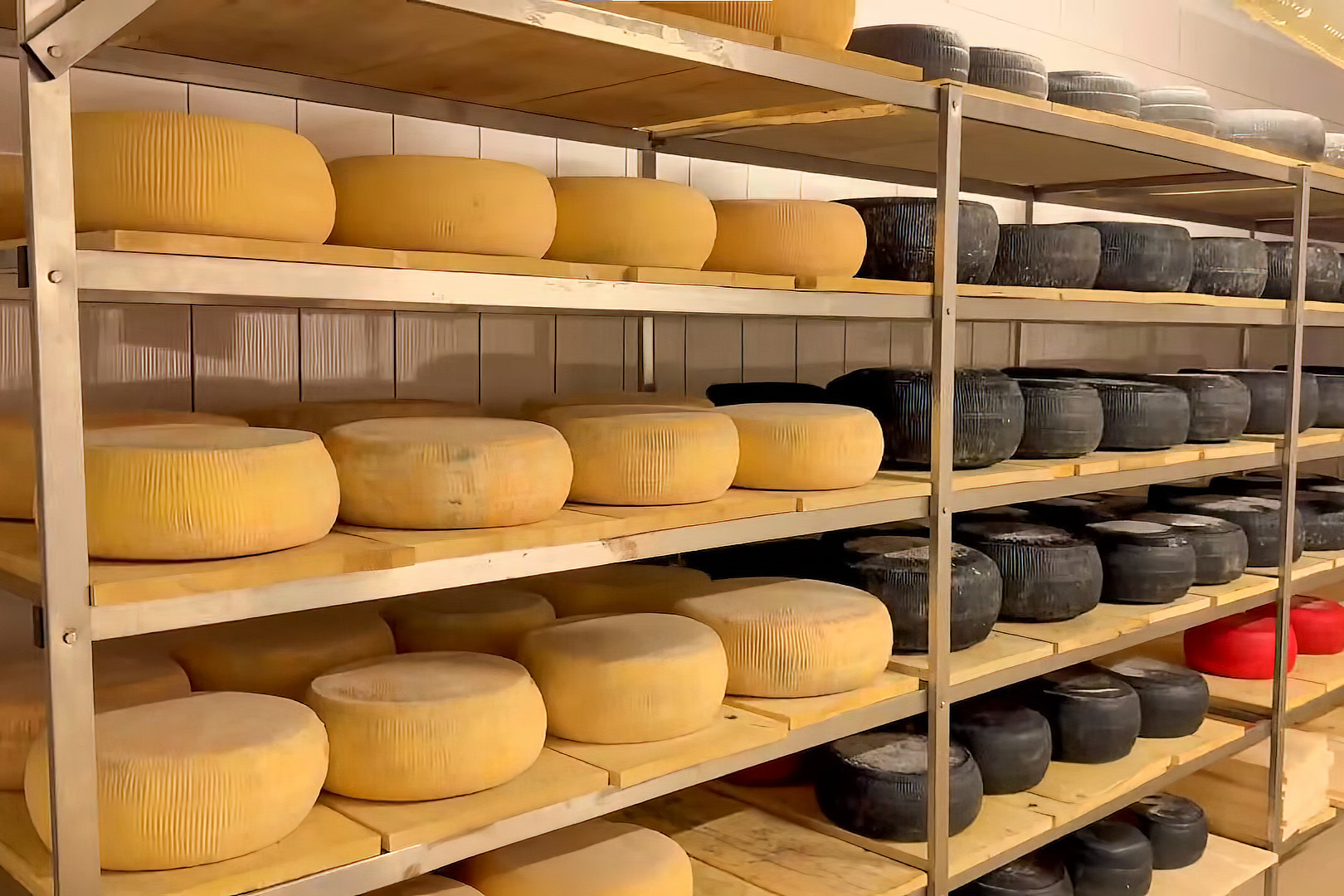 Brânzeturi în procesul de maturare în fabrica Montlact